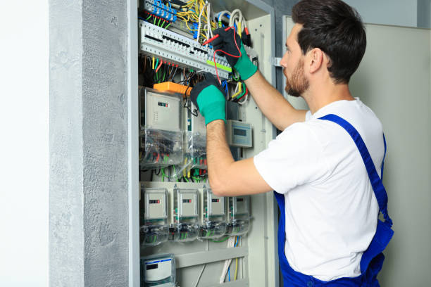 Best Electric Panel Repair  in Hemlock, MI